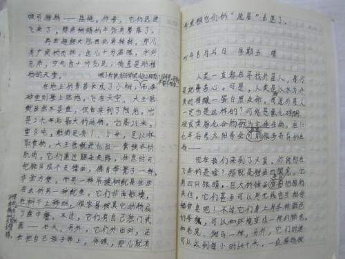 [微文本]开始学校目标_250字