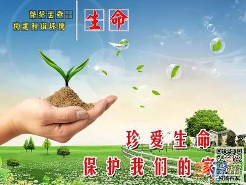 善待生活_700字