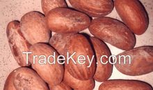 The Bitter and Happiness of Study学习的苦和乐_650字