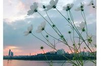 收获的喜悦_800字