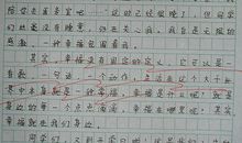 开学第一课观后感_550字