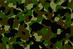 成本，暑假_400字