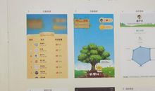 丰富多彩的暑假_350字