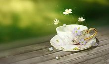 感叹大自然_300字