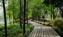 我和杭州有个约会_1000字