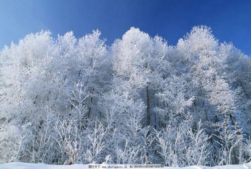 冬天雪的组成：冬天雪_400字