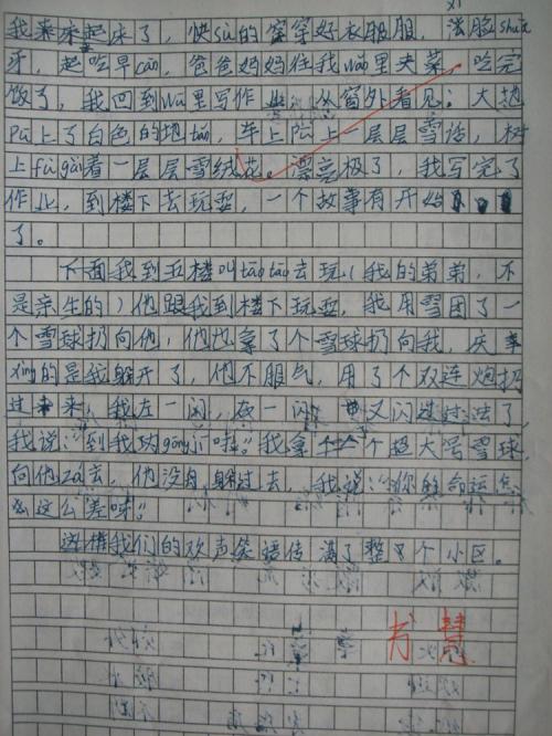 雪地上的组成：2009年的第一雪_450字