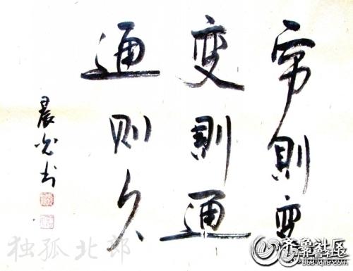 变异，一般旅行_900字