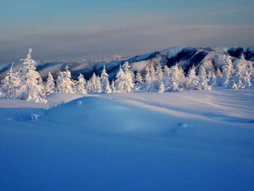 冬天雪的组成：冬天雪_500字