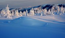 关于冬雪的作文：冬雪_500字