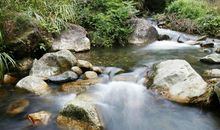 山，爬还是不爬_1200字