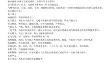 关于大自然的作文：我爱大自然_450字