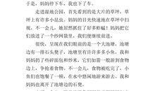 无聊的暑假生活_400字