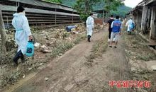 动物世界 突发病灾_700字