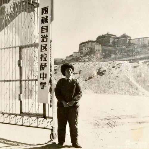 与亲人的构图：清丝还是，白发，_800字