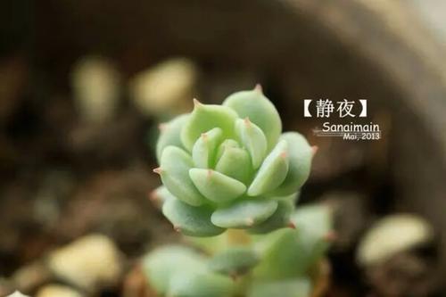  未经许可，不得转载