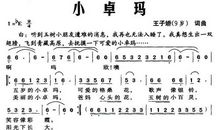 《小卓玛》观后感_450字