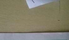 一年级日记：捡树叶_50字