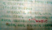 一年级日记：菜糊_100字