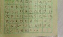 一年级日记：家乡的变化_100字