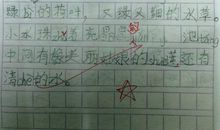 一年级日记：睡觉_100字