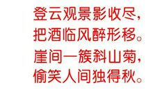 关于重阳节的作文：重阳节诗篇_650字