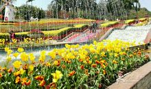 令人神往的云台花园_700字