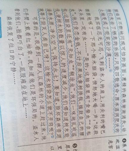 我心中的句子_500字