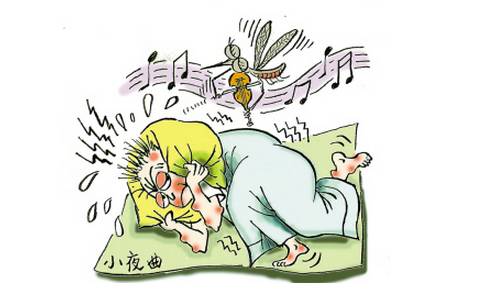 蚊虫战争_250字