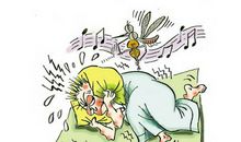 与蚊子大战_250字