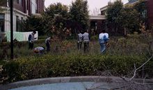 校园的小花园 _800字