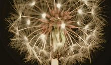 【微作文】时光荏苒˙怀恋过去˙投入洪流_150字