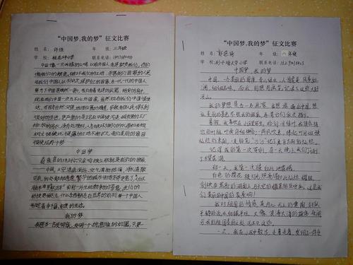 对不起，我迟到了_2000字