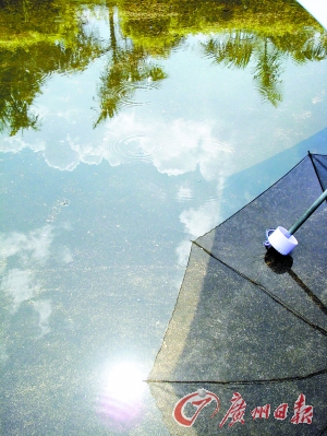 雨上的组成：太阳雨_600字