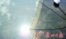 关于雨的作文：太阳雨_600字