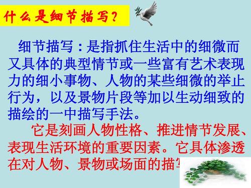 高级考试写作指南：详细说明