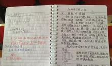 一年级日记：买书_250字