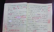 高中作文技巧：议论文如何做到有理有据