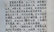 关于雨的作文：似花似雨似随风_650字