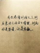 [PK Tour]作文与友谊：伴侣_800字