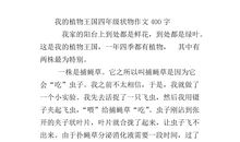 一年级状物作文：我家的小黑_250字