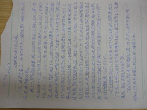 五年级景观：“学校的第一课”_500字
