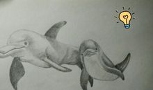 一年级状物作文：白鳍豚自述_400字