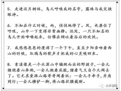 [学生散文8]：促销小，儿童不成功依靠努力_2000字