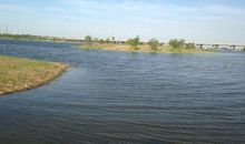 乐游太平河_650字