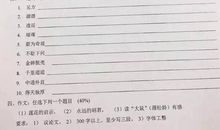 发试卷后的心情_250字