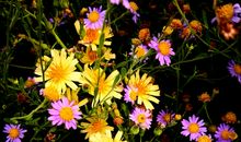 那情，已逝？_450字