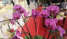 自由自在的一天_650字