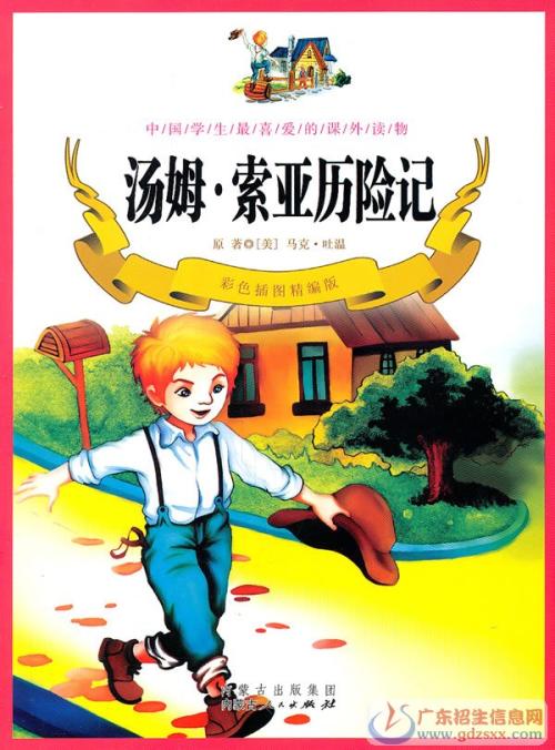 高中阅读：“Tom Soya Adventures”_400字