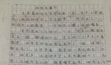 一年级期中考试作文：期中考试_550字